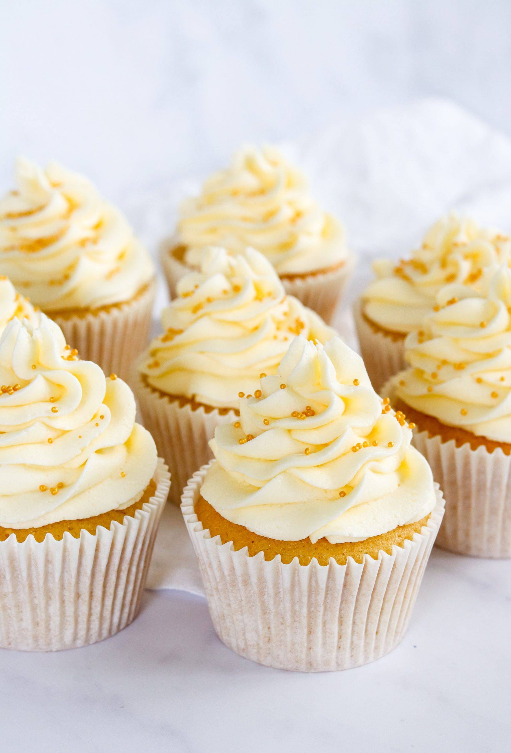 Fake Deluxe Chocolate & Vanilla Cupcakes